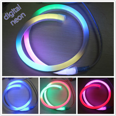 สี rgb ที่เปลี่ยน 24v ดิจิตอลหลับ LED neon flex แผ่นแสง