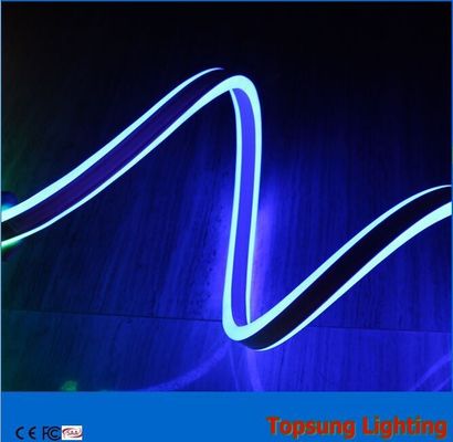2016 ราคาล่าสุด สีฟ้า 110v ดับเบิ้ลด้าน LED neon flex light