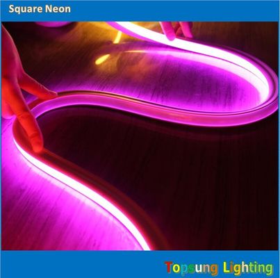 2016 สี่เหลี่ยมสีชมพูใหม่ 12v 16*16m LED neon flex light สําหรับห้อง