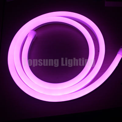 สี rgb ที่เปลี่ยน 24v ดิจิตอลหลับ LED neon flex แผ่นแสง
