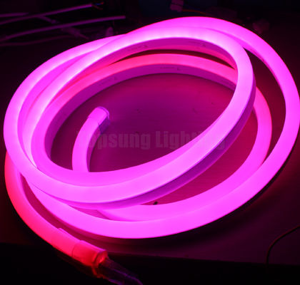 มินิ RGB ดิจิตอล พิกเซลไลท์ LED สเตรป Neon Flex สายไฟ 24v