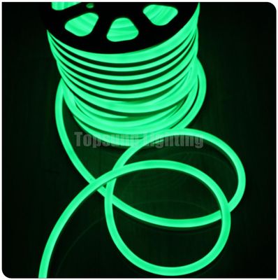 SMD 2835 LED neon light 12V flexible rope outdoor กันน้ํา LED neon strip light สีเขียว