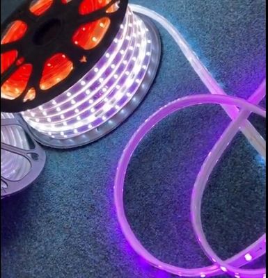 50m Smart Neon Flex Rope Light SMD5050 Magic Dream Color DC5V สามารถเขียนโปรแกรมได้